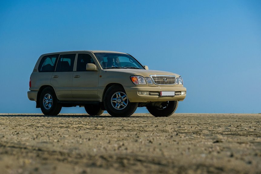 stable online platform 686442713